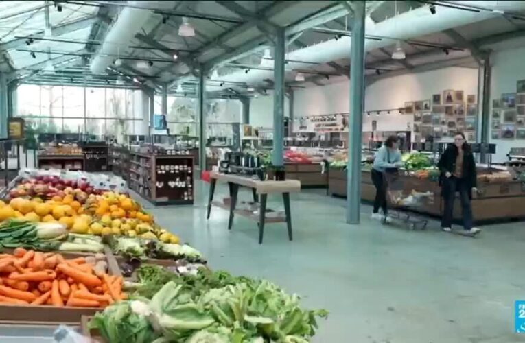 Farmer-owned supermarket sets example for better remuneration model